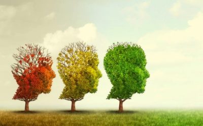 Growth Mindset During the Covid-19 Pandemic